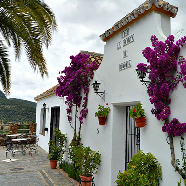 Imagen de Molino Taramilla Dorotea